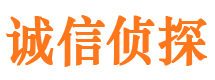 任县市侦探公司